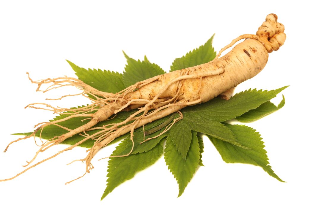 ginseng - an element of the composition Alfazone